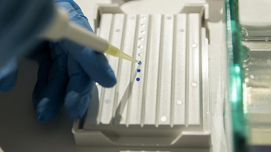 Japan: Pronađeni posmrtni ostaci žene nestale u zemljotresu prije 10 godina 