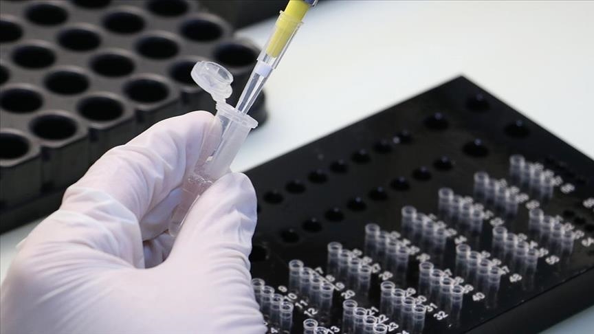 Sudanese minister tests positive for coronavirus