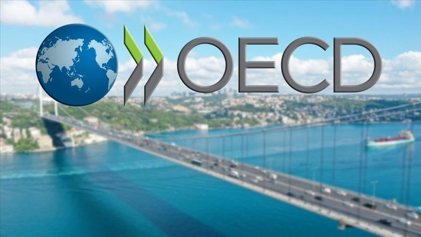 ОЭСР улучшила прогноз по росту ВВП Турции в 2021 году