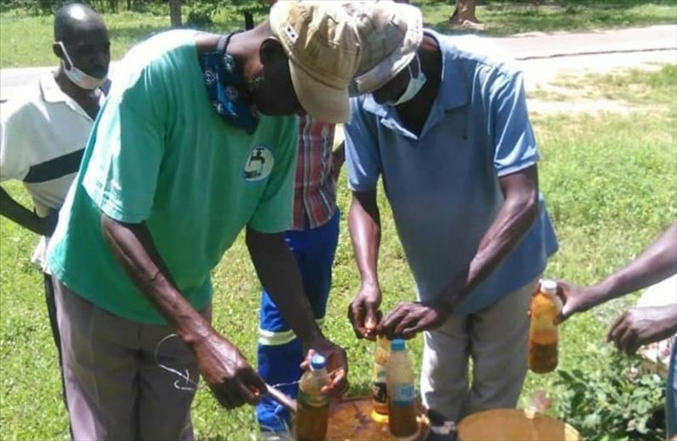 Zimbabwe: Farmers find ways to save crops from elephants