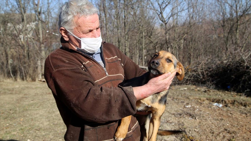 Sokak köpeklerine sıcak yuva sunmak için köyden ayrılmadı