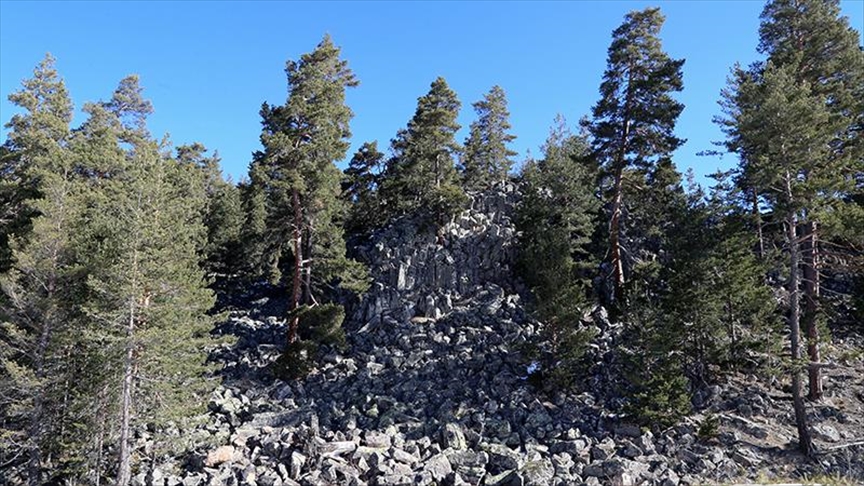 Hundreds of basalt columns found in northwestern Turkey