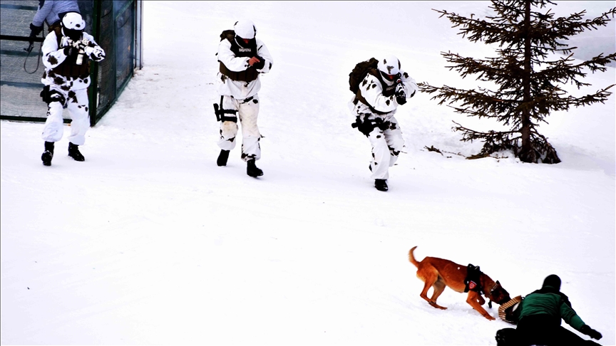 Srbija: Antiteroristička vežba na Kopaoniku