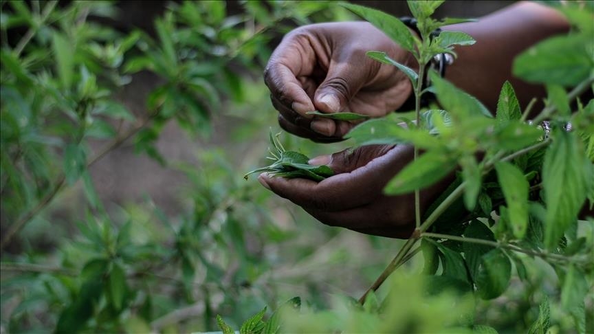 Villagers in Zimbabwe face loss of land, livelihoods