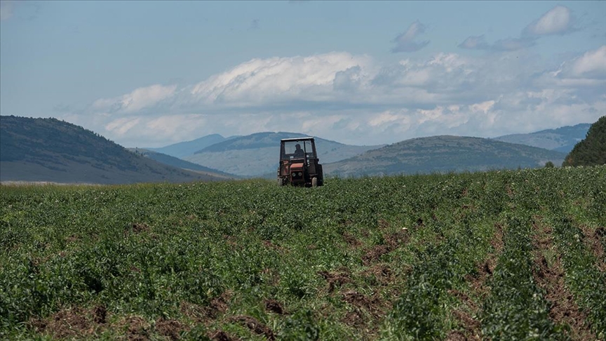 Vlada FBiH: Za poticaje u poljoprivredi 87 miliona KM