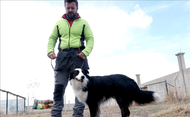 Turquie/Covid-19 : des chiens dressés pour détecter les cas positifs grâce à l'odorat