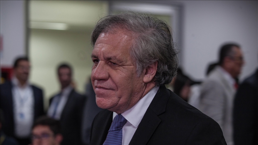 El Grupo de Puebla rechaza las declaraciones de la OEA sobre el proceso judicial contra Jeanine Áñez