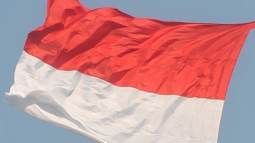 Indonésie: la nouvelle capitale sera prête d'ici 2024