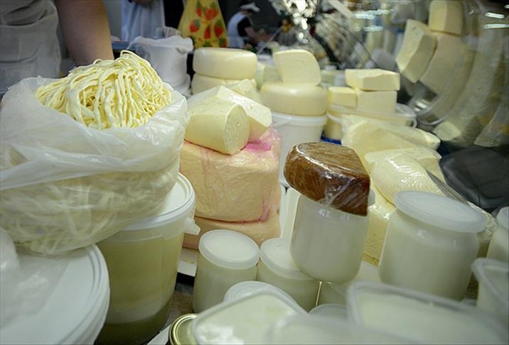 Turkey's cheese diversity more than known: Expert