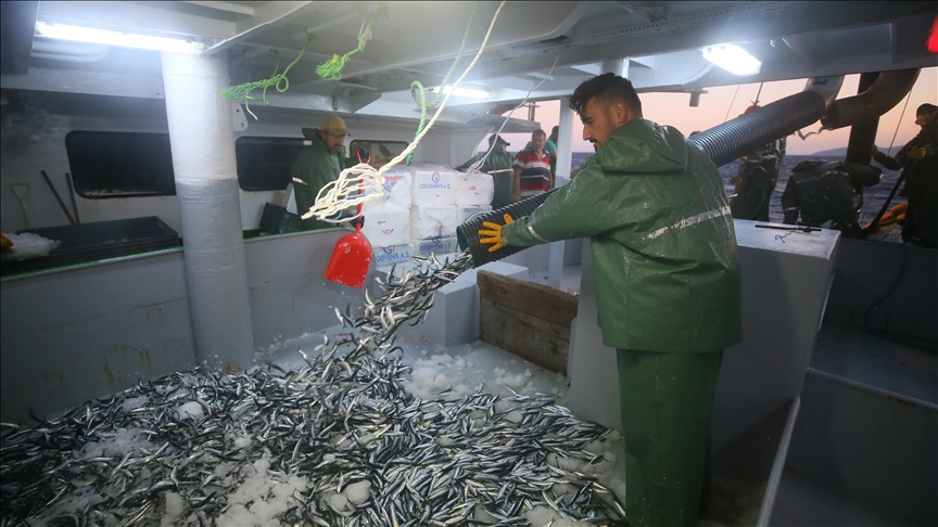 La pesca ilegal amenaza las poblaciones de peces en Sudamérica