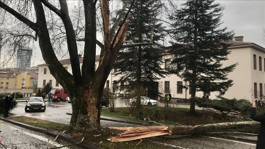Rrufeja godet një pemë afër kompleksit të Parlamentit turk në Ankara