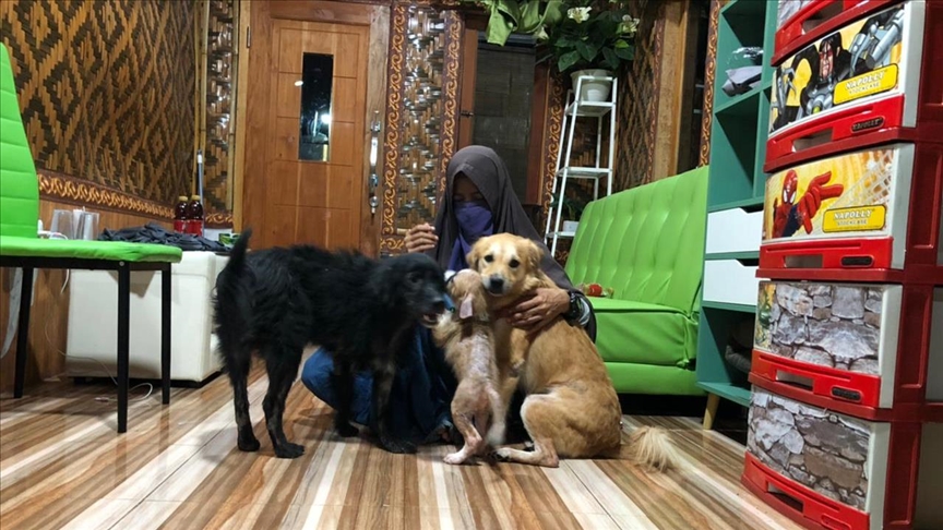Indonesian Muslim woman runs shelter for stray dogs