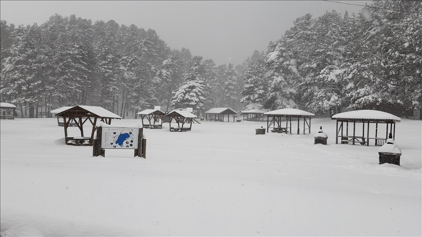 بولو" التركية.. الثلوج تزين محميتي "أبانت" و"غولجوك"