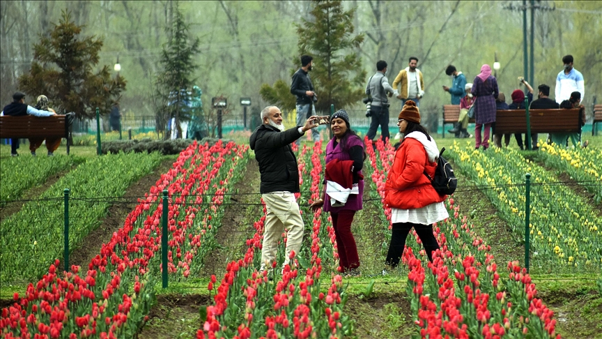 Asia’s most extensive tulip garden reopens in Kashmir