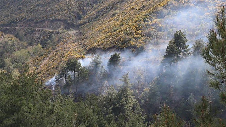 Hatay'da çıkan örtü yangını söndürüldü