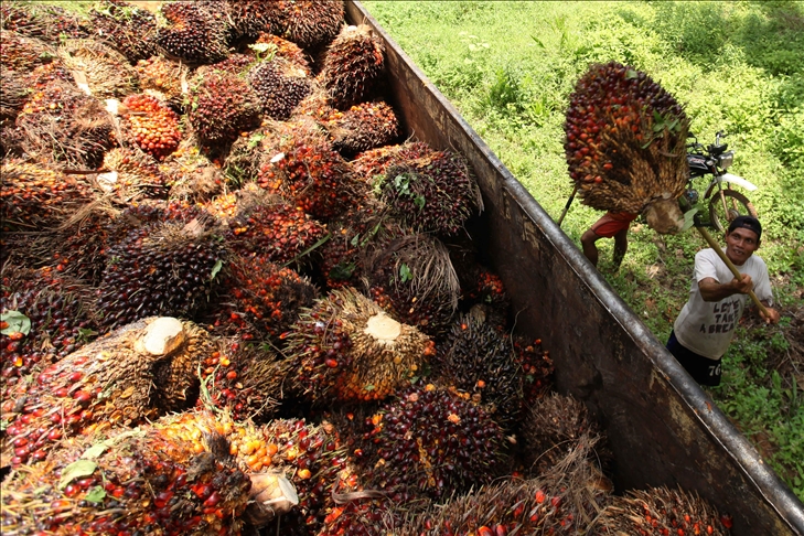 Indonesia jadi pihak ketiga dalam gugatan Malaysia ke WTO terkait CPO