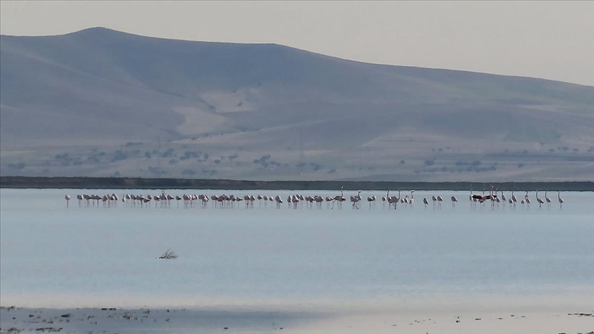 Çevre ve Şehircilik Bakanlığınca korunan alan sayısı 3 bin 534'e yükseldi