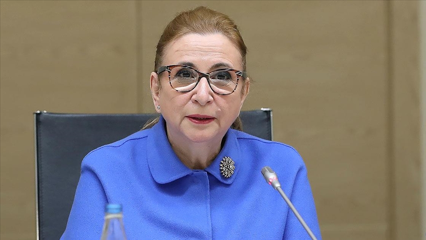 Ticaret Bakanı Pekcan: Türkiye ile Azerbaycan'a Serbest Ticaret Anlaşması yakışır