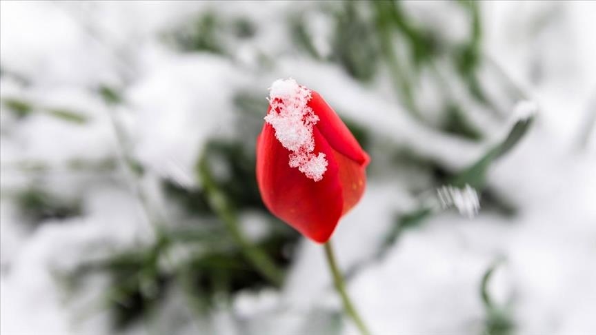 Slloveni, regjistrohet mëngjesi më i ftohtë i prillit ndonjëherë