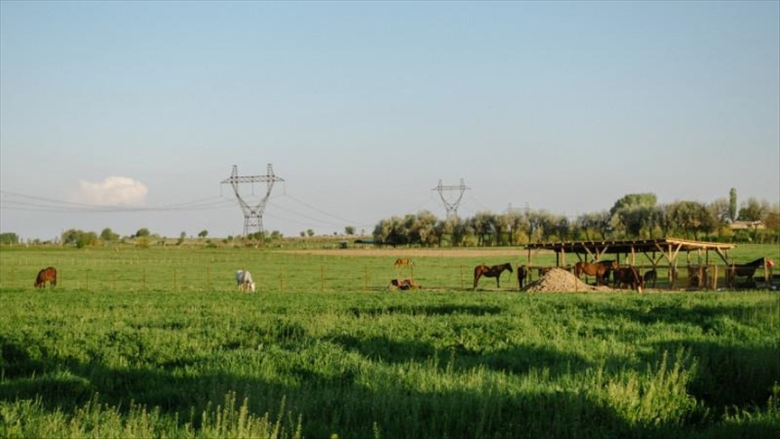 В Казахстане одобрили запрет на продажу земли иностранцам