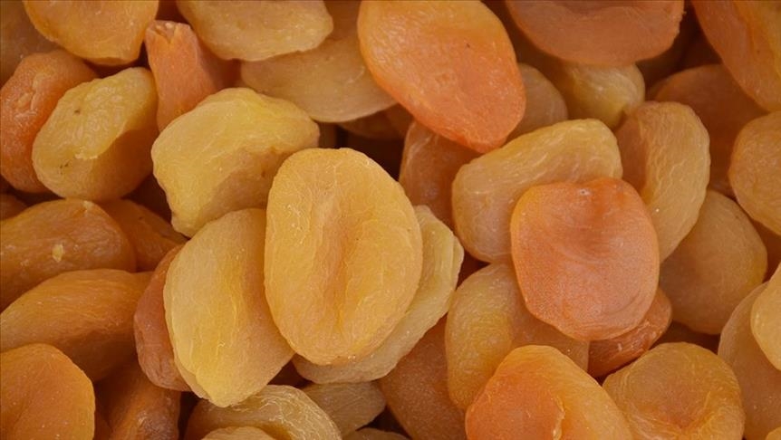 Turkey exports dried apricots to 105 countries