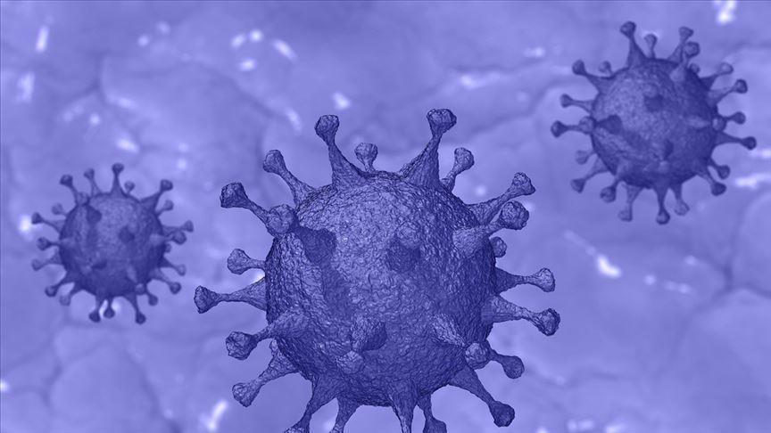 Brazil finds new virus variant combining 18 mutations