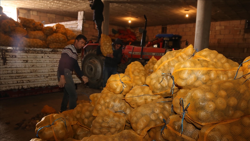 Depoda kalan patates, TMO tarafından üreticiden alınıp ihtiyaç sahiplerinin sofrasına ulaştırılıyor