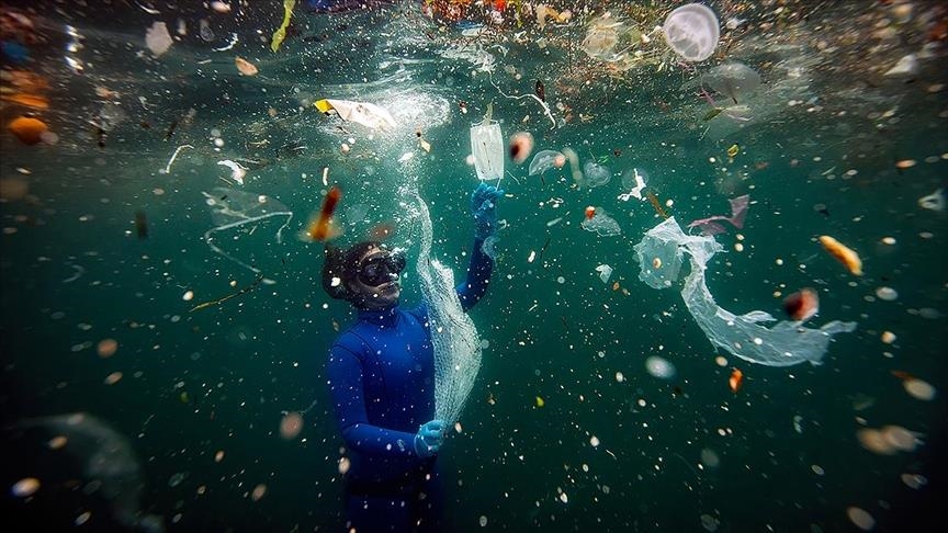 Anadolu Agency wins international photo award