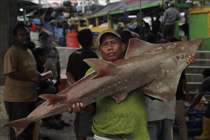 Terjadi 35 kasus penyelundupan sumber daya laut dan perikanan selama Desember-April 2021
