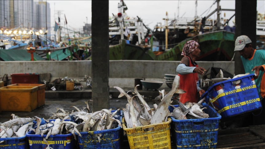 Indonesia tangkap 72 kapal pelaku illegal fishing sepanjang 2021