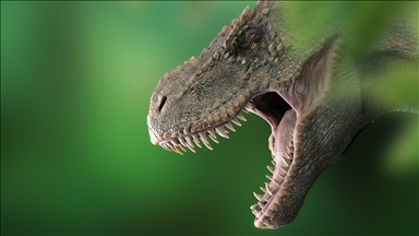 Araştırmaya göre dünyada 2,5 milyar T-rex dinozor türü yaşamış olduğu tahmin ediliyor