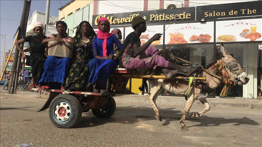 "تاكسي الحمير".. تقليد يتحدى الحداثة في السنغال