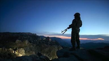 PKK'dan kaçan bir terörist daha ikna yoluyla teslim oldu