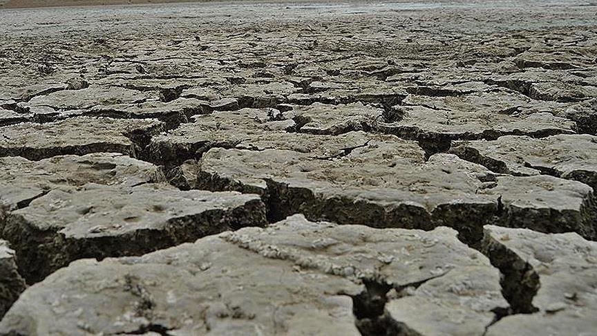 Drought-hit Somalia faces record displacements