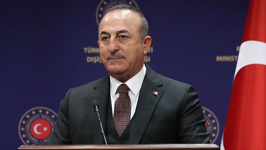 Turkish foreign minister hails Iraqi Turkmen leader