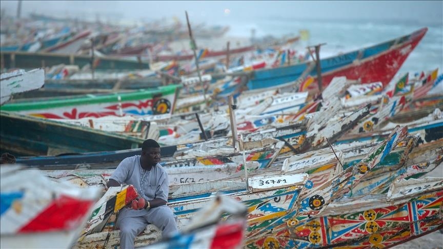 سمك مجاني.. حملة لإقناع الموريتانيين بتغيير عاداتهم الغذائية (تقرير)