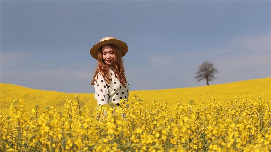 Altın sarısı kanola tarlaları fotoğrafçılara doğal stüdyo imkanı sunuyor