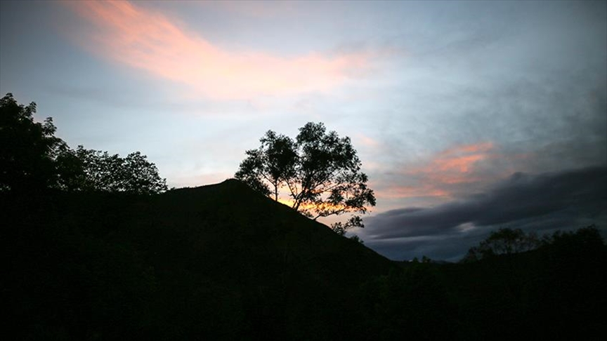La CIDH y ONU Derechos Humanos celebran la entrada en vigor del Acuerdo de Escazú