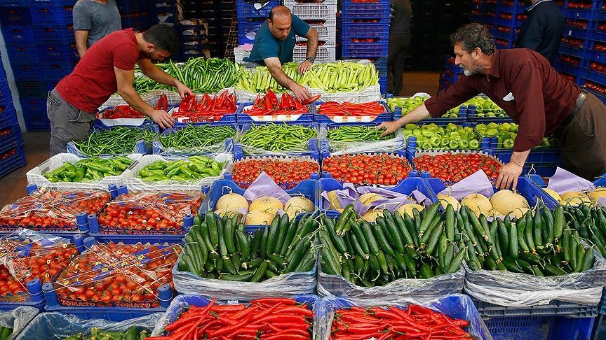 Экспорт овощей и фруктов из Узбекистана составил в I квартале около $134 млн