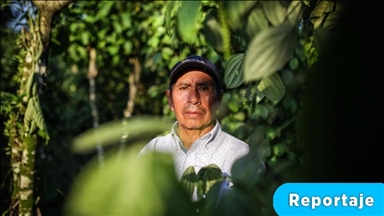 Las víctimas del conflicto que cambiaron la siembra de coca en Colombia por la exportación de pimienta a Europa