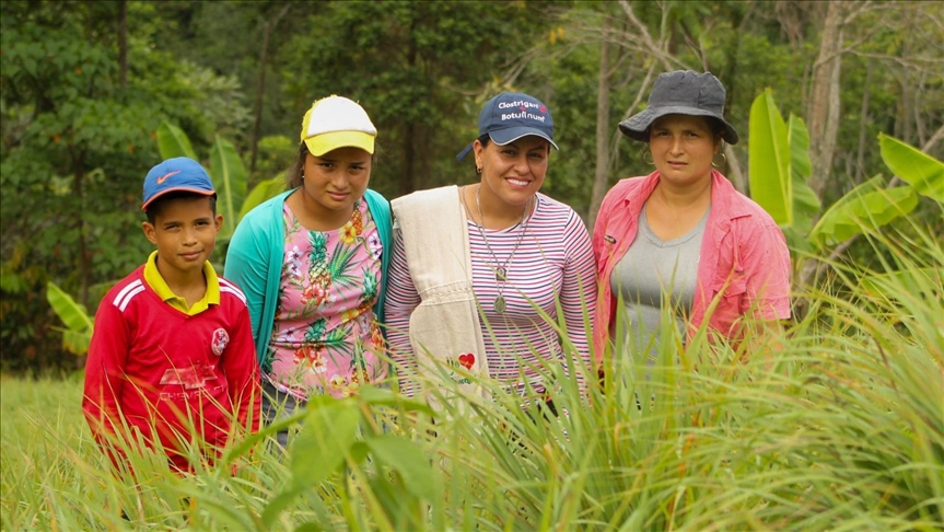 Plantas aromáticas que sanan el tejido social en la Amazonía colombiana