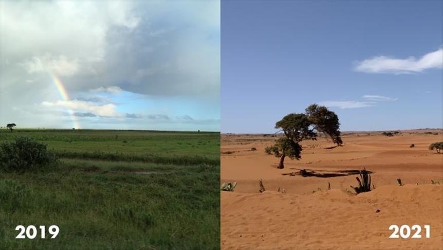 South Madagascar heading towards famine: WFP