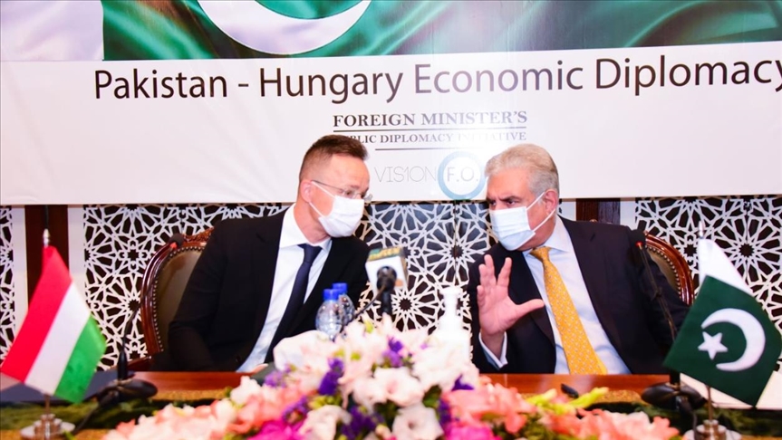 Pakistan, Hungary warn of watchdog's political use