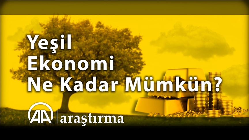 İklim değişikliğiyle mücadele: Yeşil ekonomi ne kadar mümkün?
