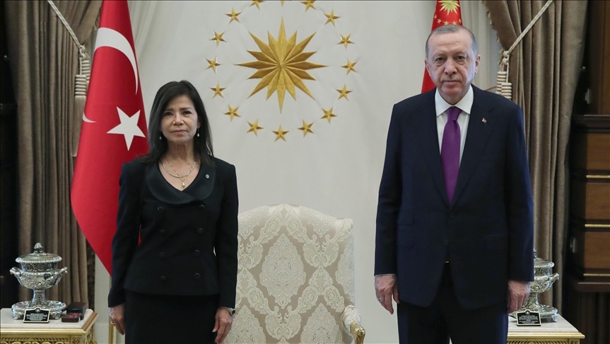 سفیر جدید آرژانتین استوارنامه خود را تقدیم اردوغان کرد