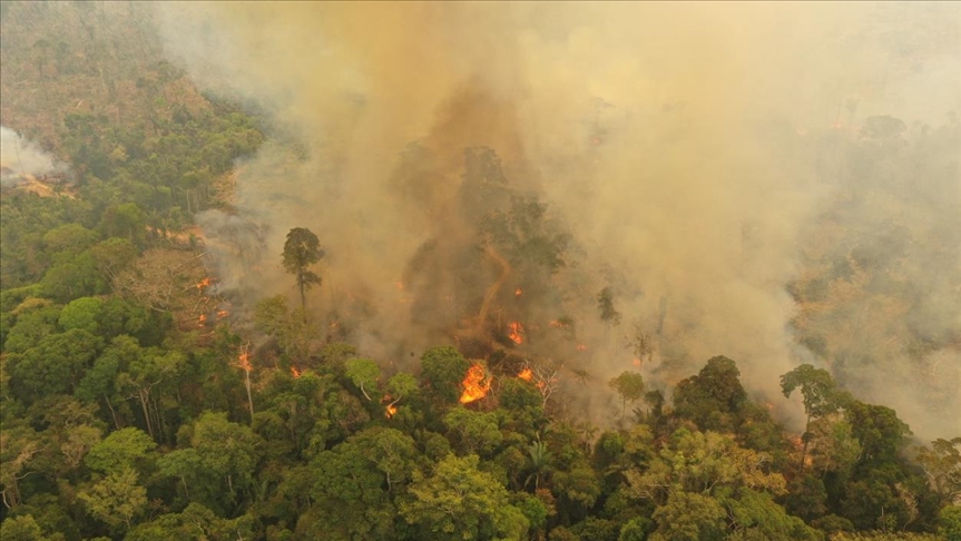 Supermercados y productores de alimentos europeos bloquearían productos de Brasil por deforestación