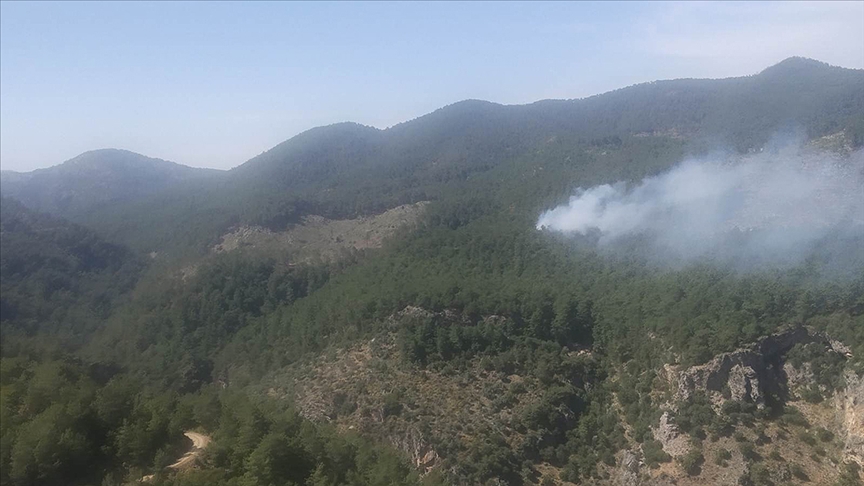 Muğla'nın Ortaca ilçesindeki orman yangınında bir hektar alan zarar gördü