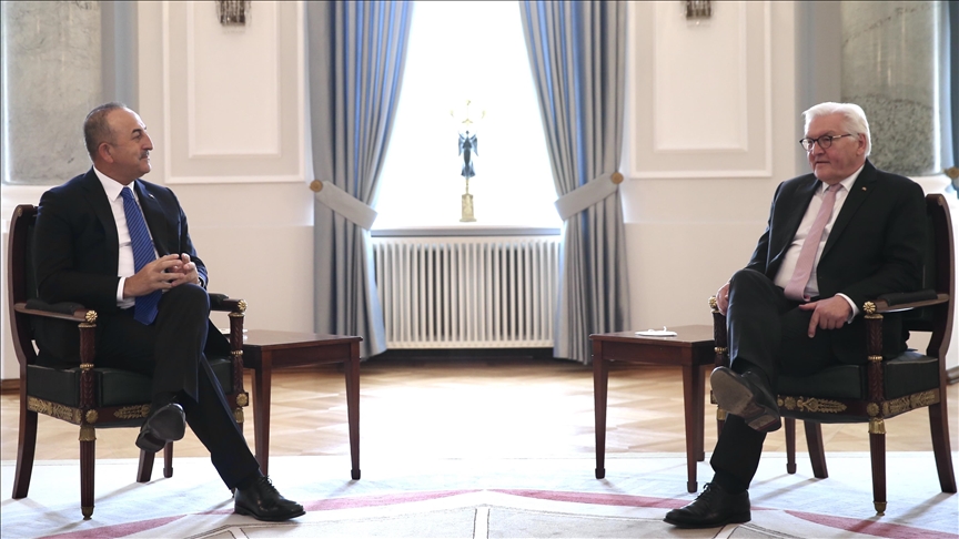تشاووش أوغلو ورئيس ألمانيا يبحثان العلاقات الثنائية
