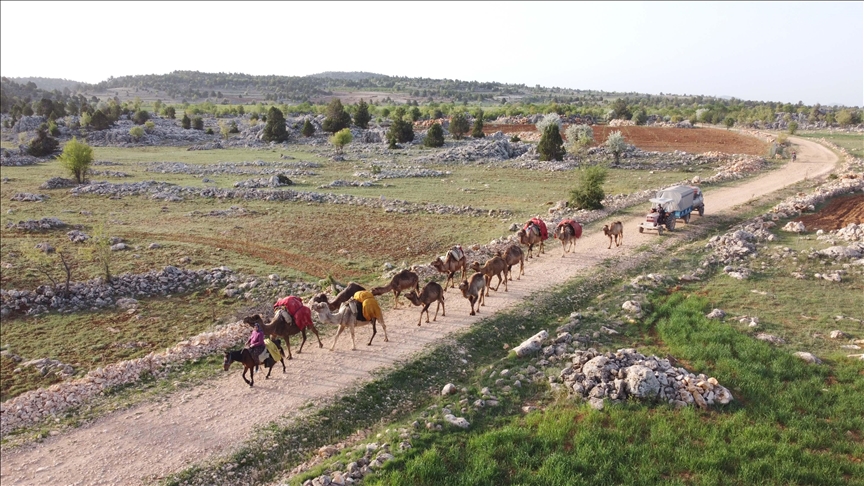Yörükler, Anadolu'nun Göçebe Türkleri