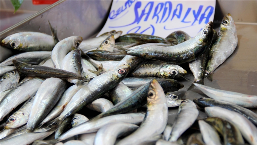 Uzmanlardan uyarı: Bu balıkları sakın tüketmeyin! - Sağlık Haberleri